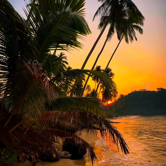 Meet your Posher, Zoe - Picture 2 of 4